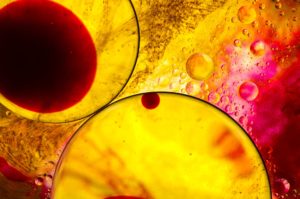 Bioenergetika a mnohem víc - 6 měsíční transformační výcvik 2026
