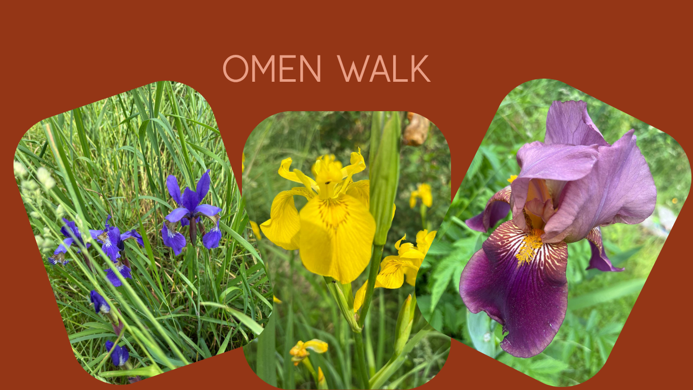 Tři kosatce jako šamanské znamení při omen walk